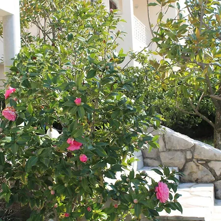 Vila Marica Rabac