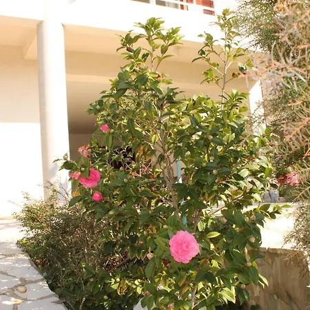 Apartment Marica