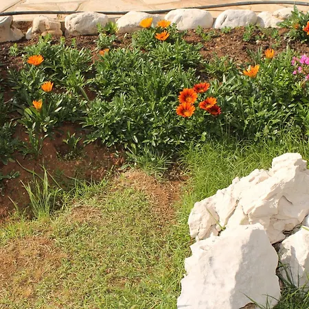 Vila Marica Rabac