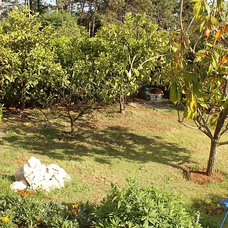 Vila Marica Rabac
